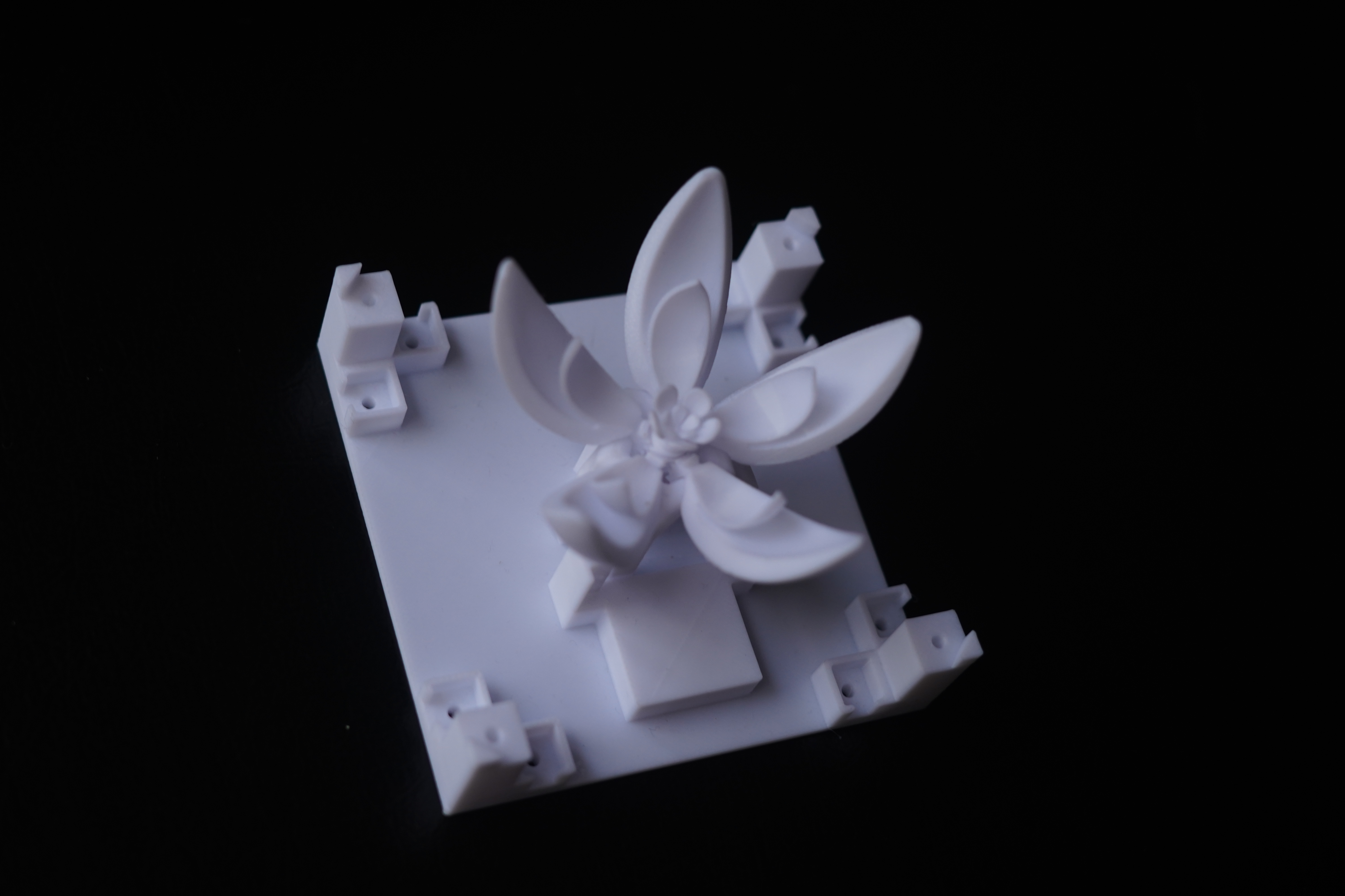 Current flower image 2