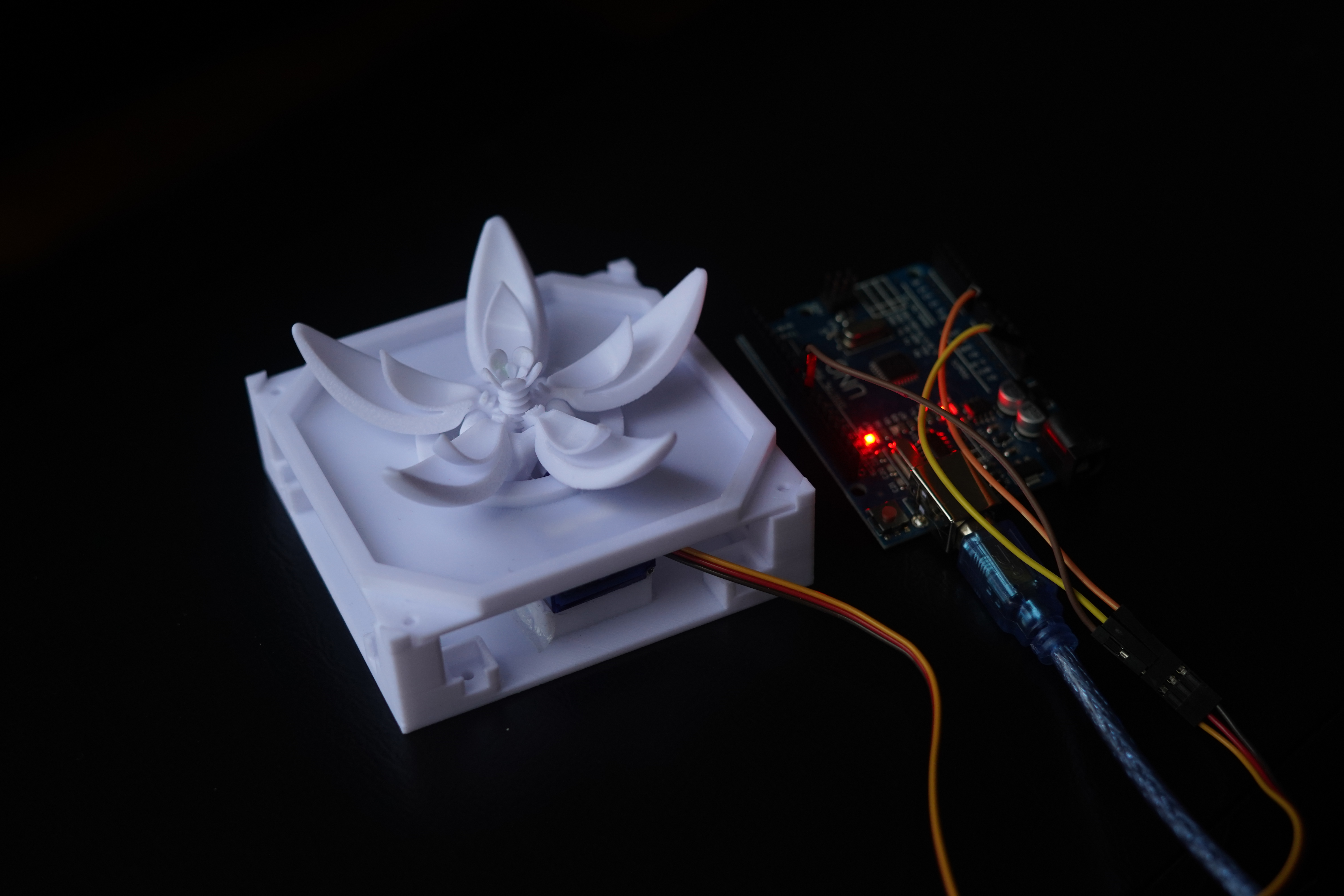 Current flower image 4