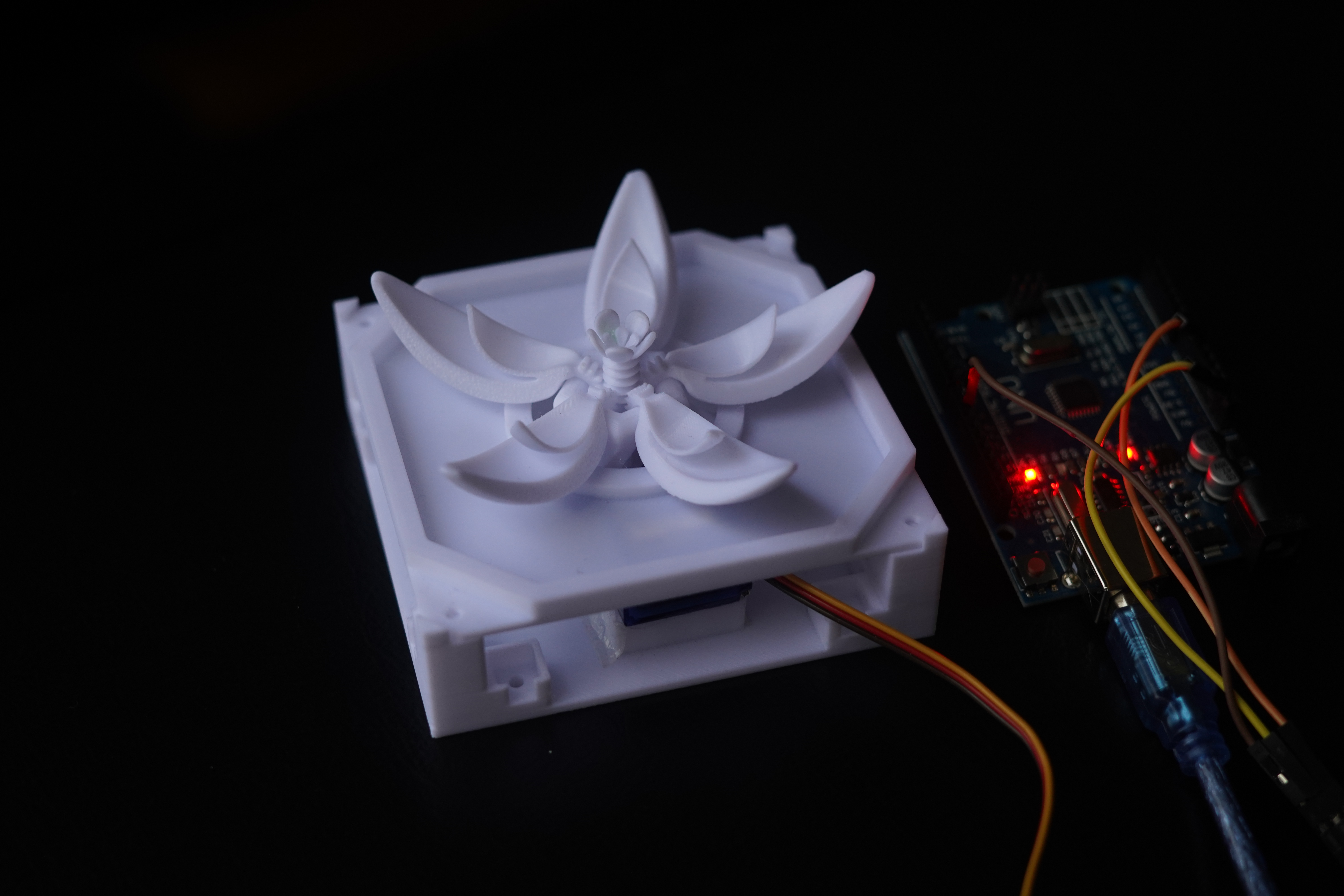 Current flower main image