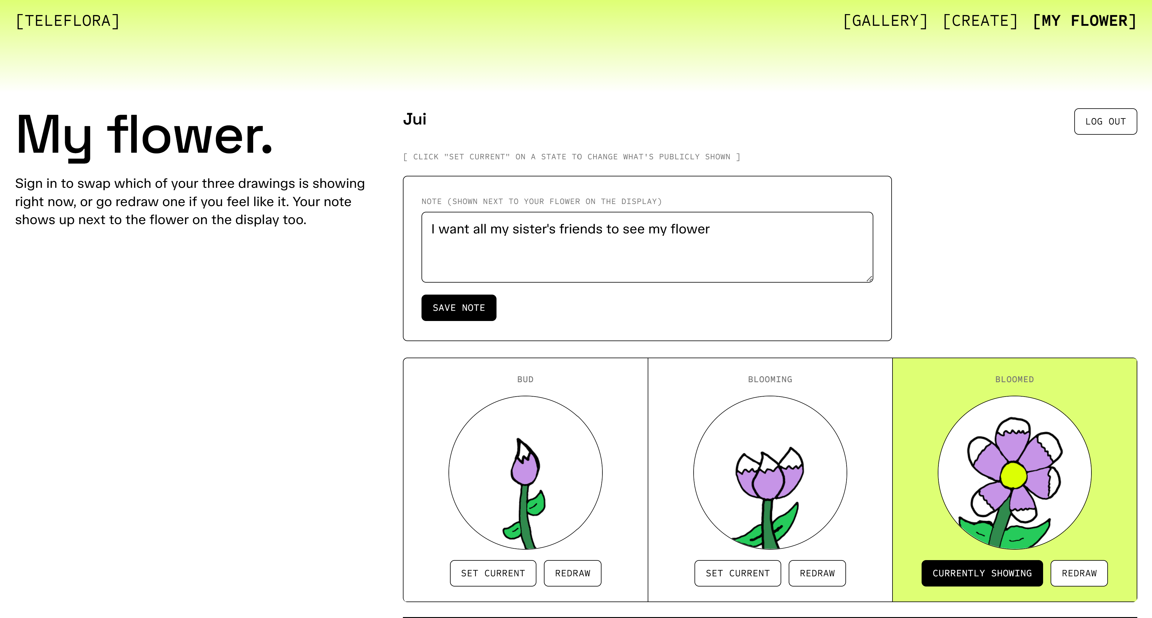 Teleflora web interface image 5